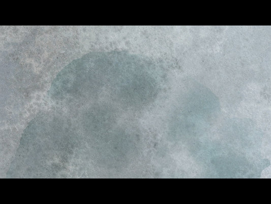 Clean Slate Loop 01