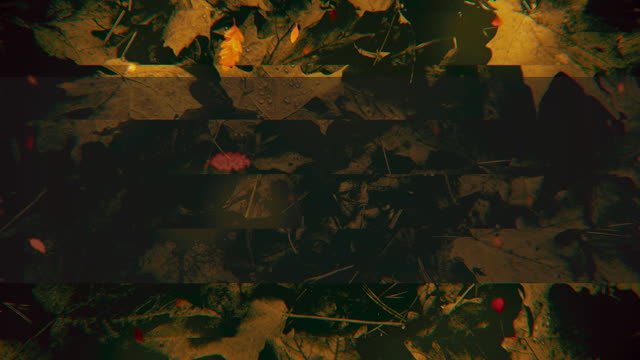 Autumn Memories 4 Alt