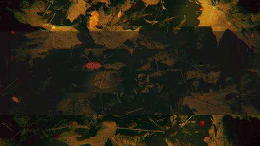 Autumn Memories 4 Alt