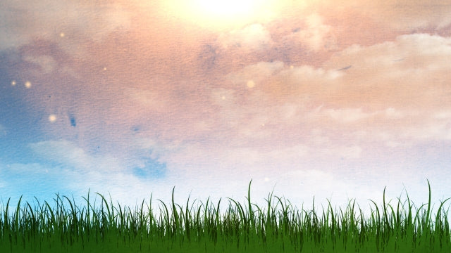 Spring Morning | Centerline New Media | WorshipHouse Media
