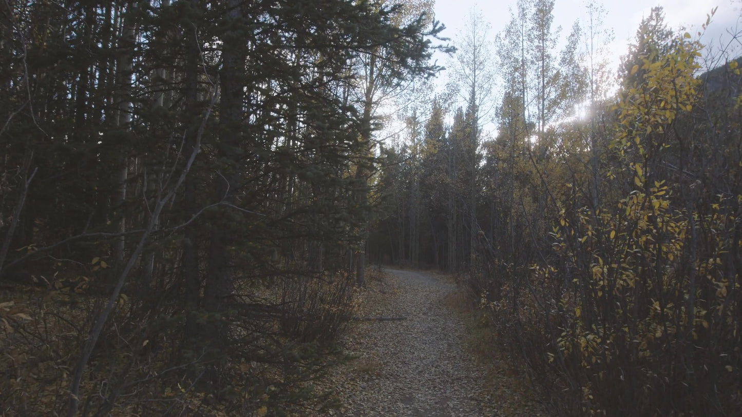 Mountain Hike 13