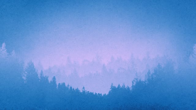 Timberline Loop 02