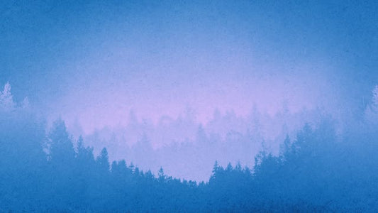 Timberline Loop 02