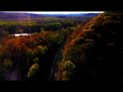 Autumn Tracks
