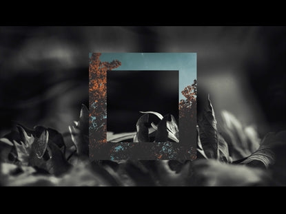 The Shape Of Fall 3