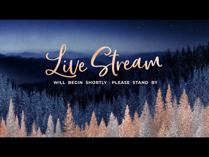 Sparkling Trees Live Stream