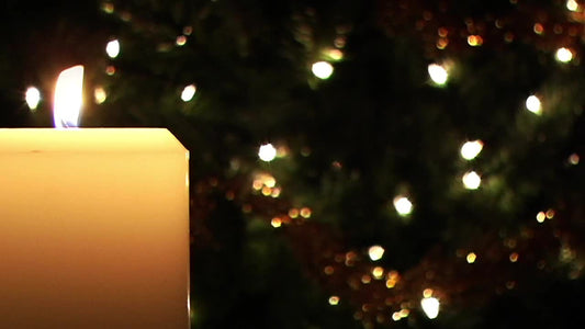 White Candle And Tree