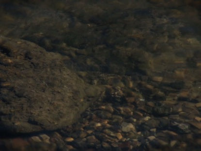 Water Motion 1