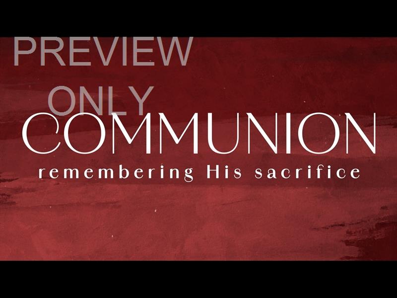 Tannenbaum Communion Still