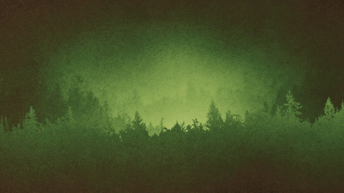 Timberline Still 04