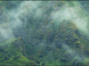 Island Splendor 10