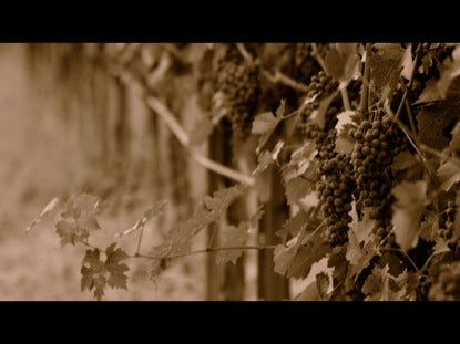 Parables: The Evil Farmers