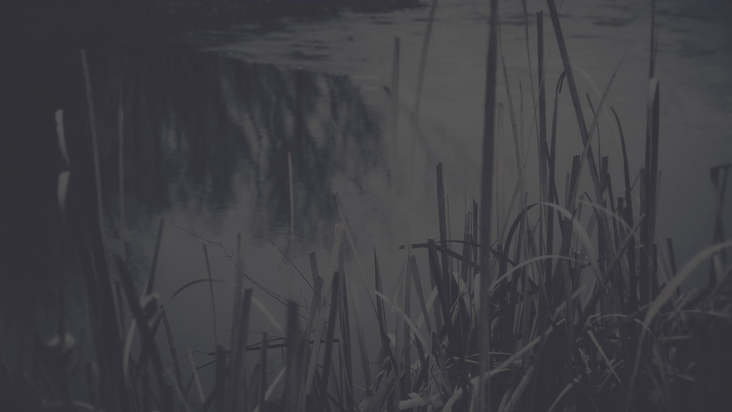 Bleak Beauty Water Edge Fade Still