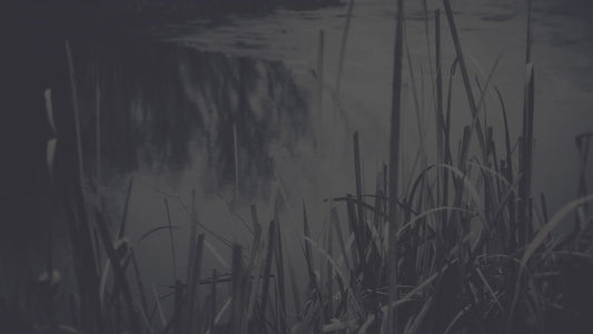 Bleak Beauty Water Edge Fade Still