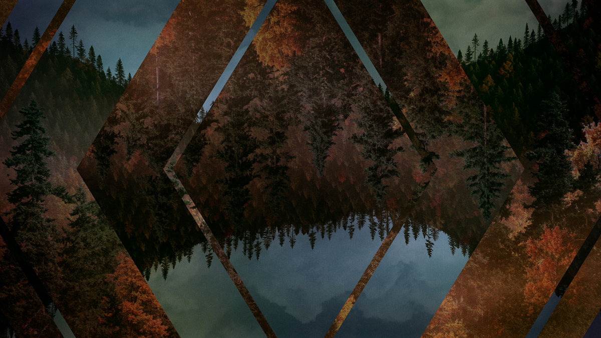 Ridgeline Fall 8 Remix