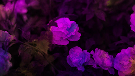 Floral Paint 11