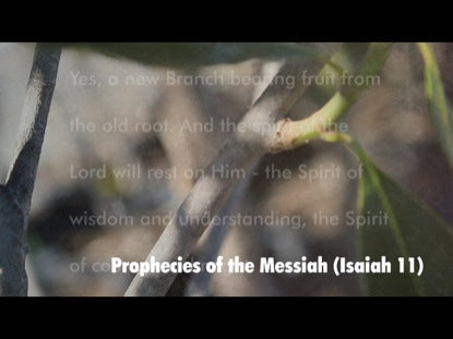Prophecies Of The Messiah  Isaiah 11