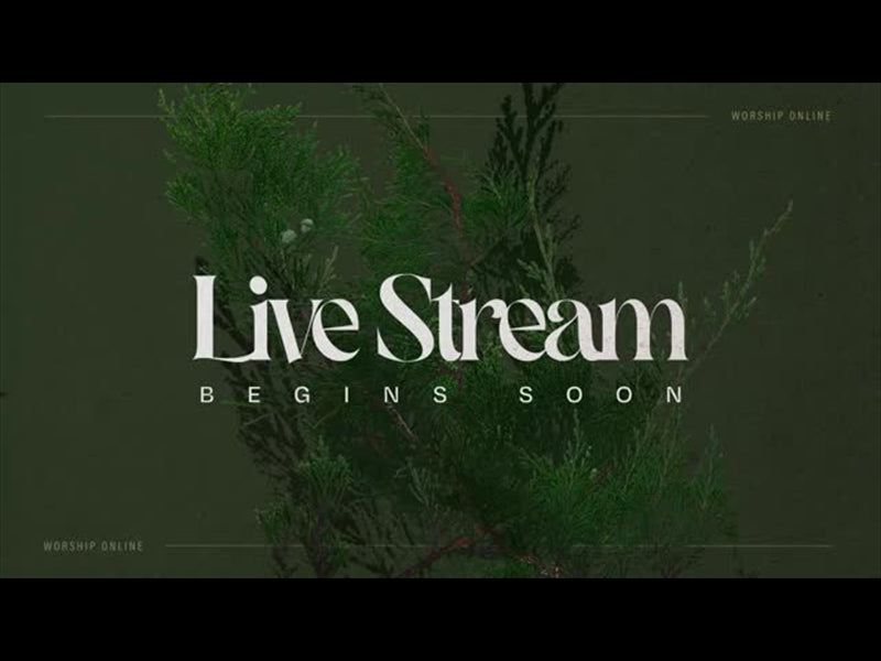 Autumn Nature Live Stream Begins Soon