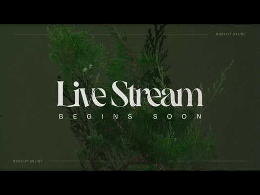 Autumn Nature Live Stream Begins Soon