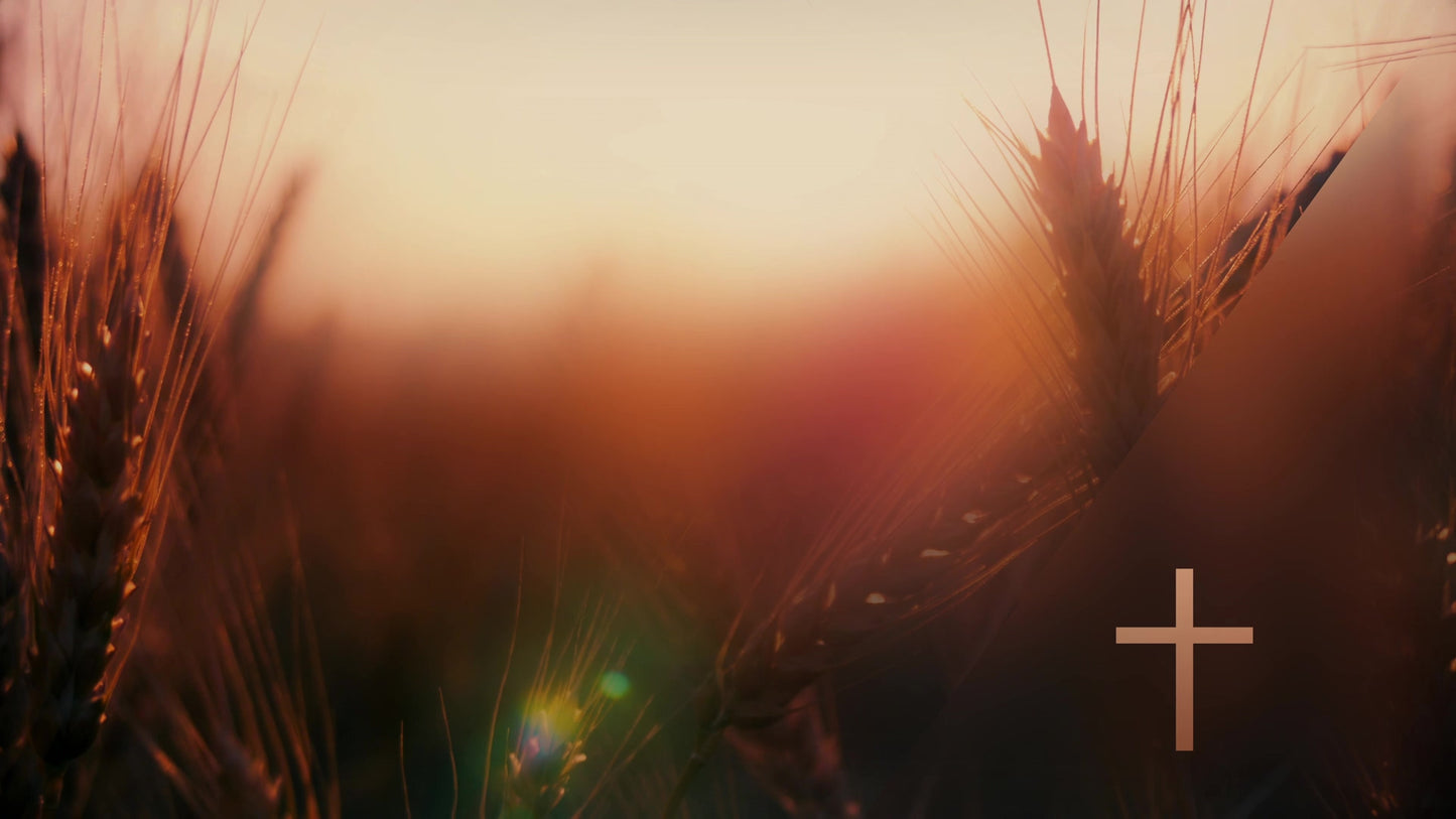 Days End Bounty Cross Still