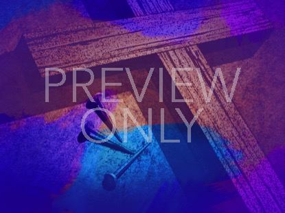 Sanctified Lamb Still 5