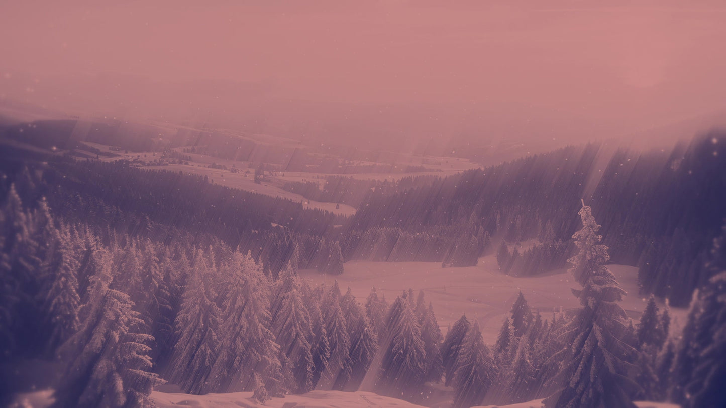 Holiday Visions 6 Alt Still