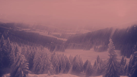 Holiday Visions 6 Alt Still