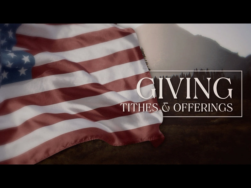 Wild & Free Giving