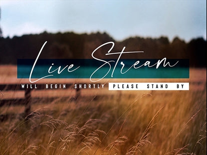 Amber Fields Live Stream