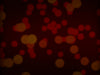 Dots