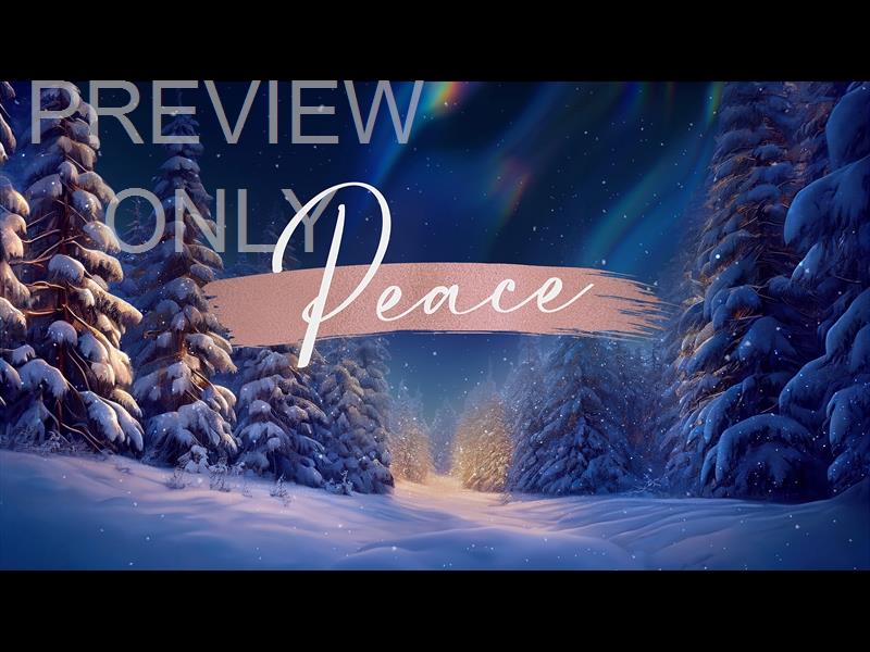 Christmas Snow Peace Still