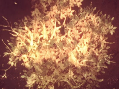 Thanksgiving Gratitude 5 Motion