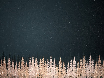 Christmas Sparkle 5