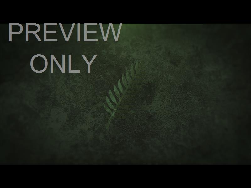 Color Palm Leaf Still: The Gospel According To Peter