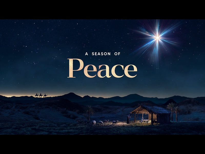 Christmas Promise Peace