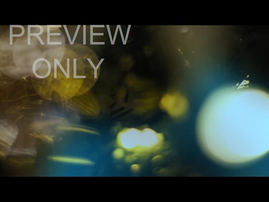 Bright And Beautiful Still 10