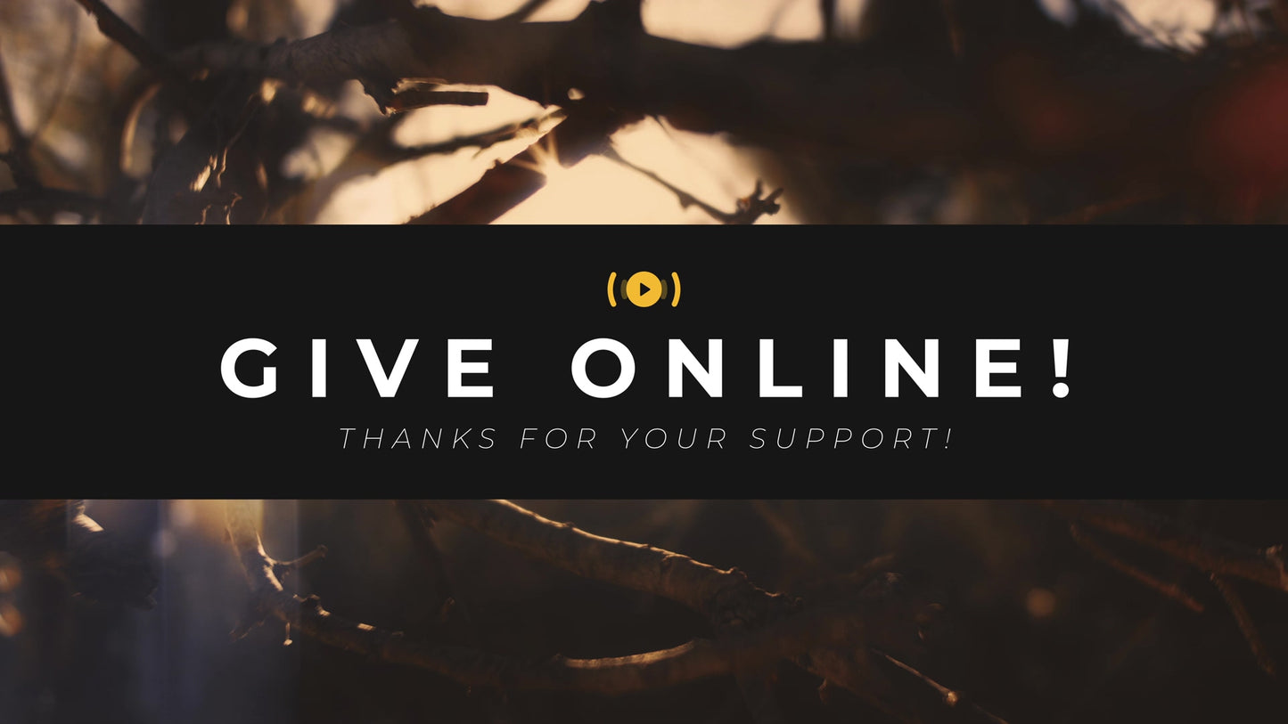 Autumn Dream Stream Give Still