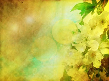 Organic Spring
