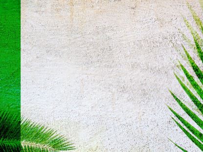 Palm Sunday 02: Still 02