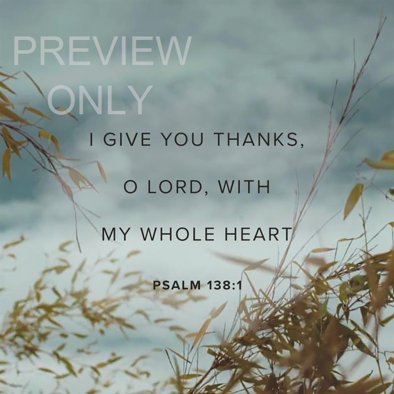 Motion Psalm 138:1
