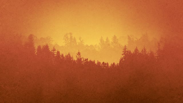 Timberline Loop 03