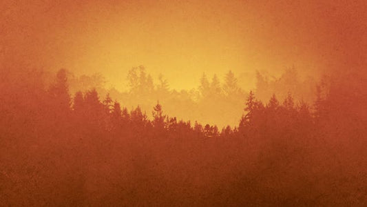Timberline Loop 03
