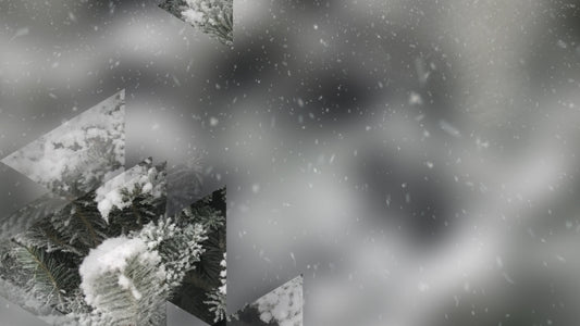 Winter Journey 14