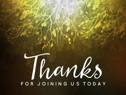 Spiced Woods Closing Motion