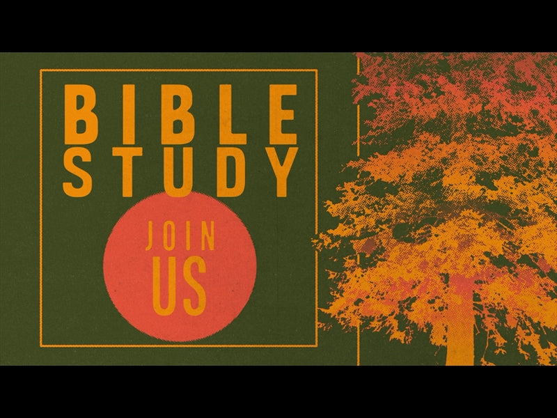 Great And Small Bible Study