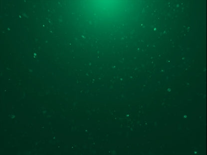 Christmas Glitter 08