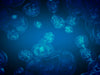 Blue Bubbles