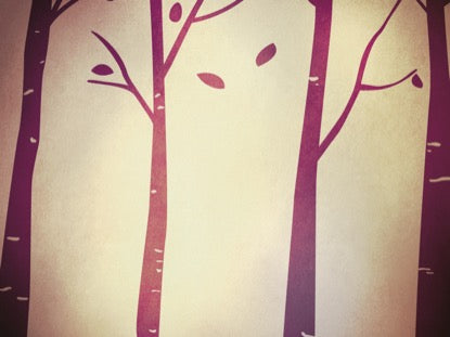 Fall Birch Trees Purple 1 Motion