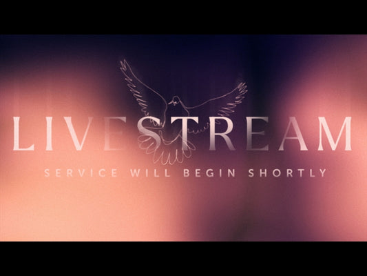 Soaring Livestream