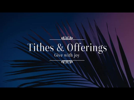 Cinematic Palms Offerings